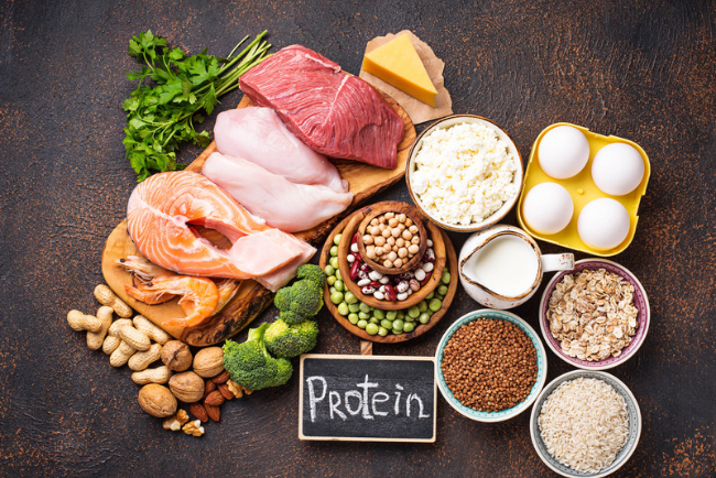 rich protein diet healthcare blog